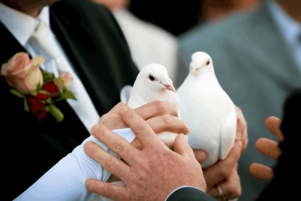 Hochzeitspaar hält weiße Tauben
