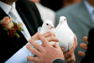 Hochzeitspaar hält weiße Tauben